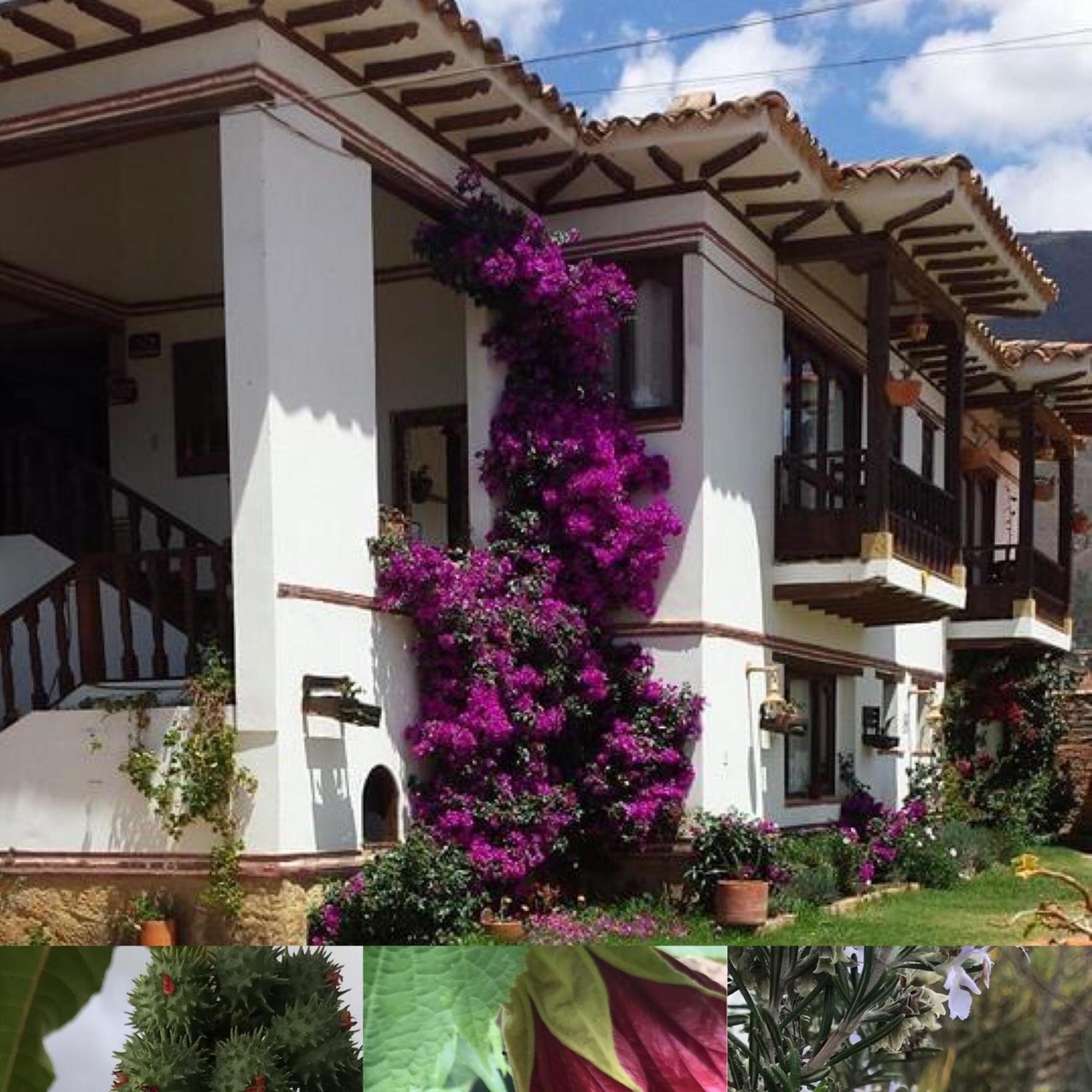 Hotel Santa Viviana Виля Де Лейва Екстериор снимка